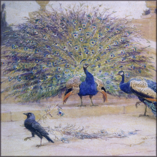 Digital Download - 1 image