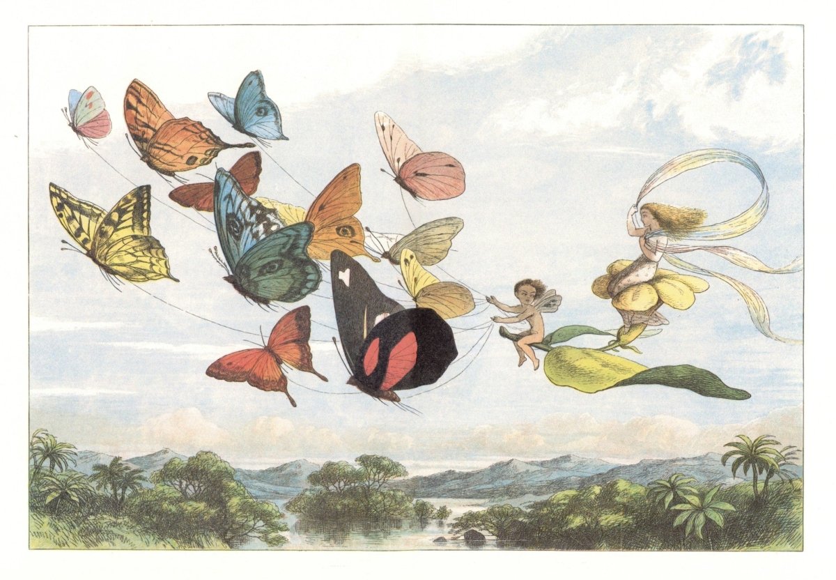 Dimensions 8656 x 6000 pixels