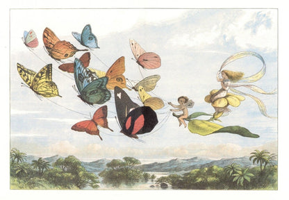 Dimensions 8656 x 6000 pixels