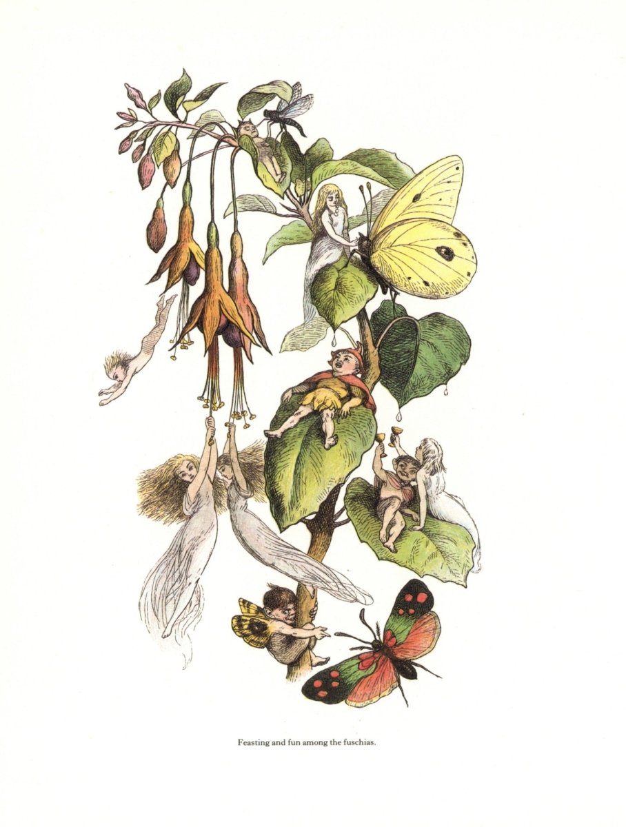 Dimensions 4790 x 6330 pixels