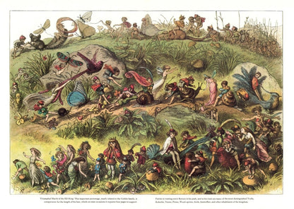 Dimensions 8658 x 6183 pixels