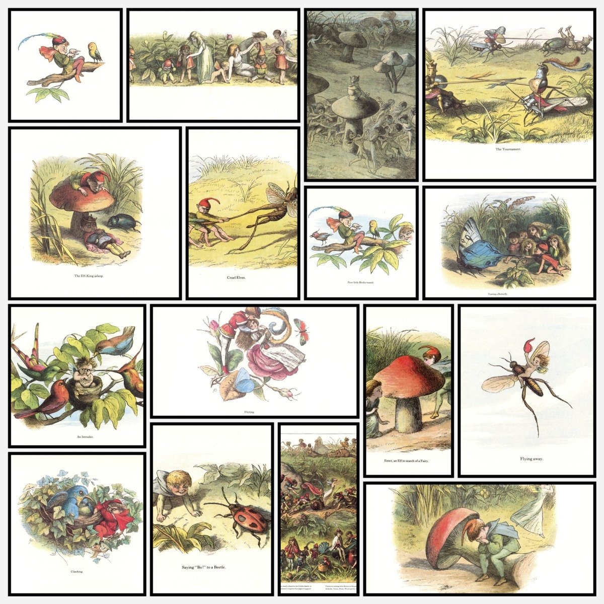 A snapshot of some of the images