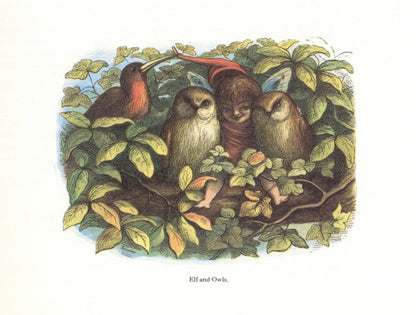 Dimensions 4144 x 3136 pixels