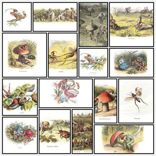 A snapshot of some of the images