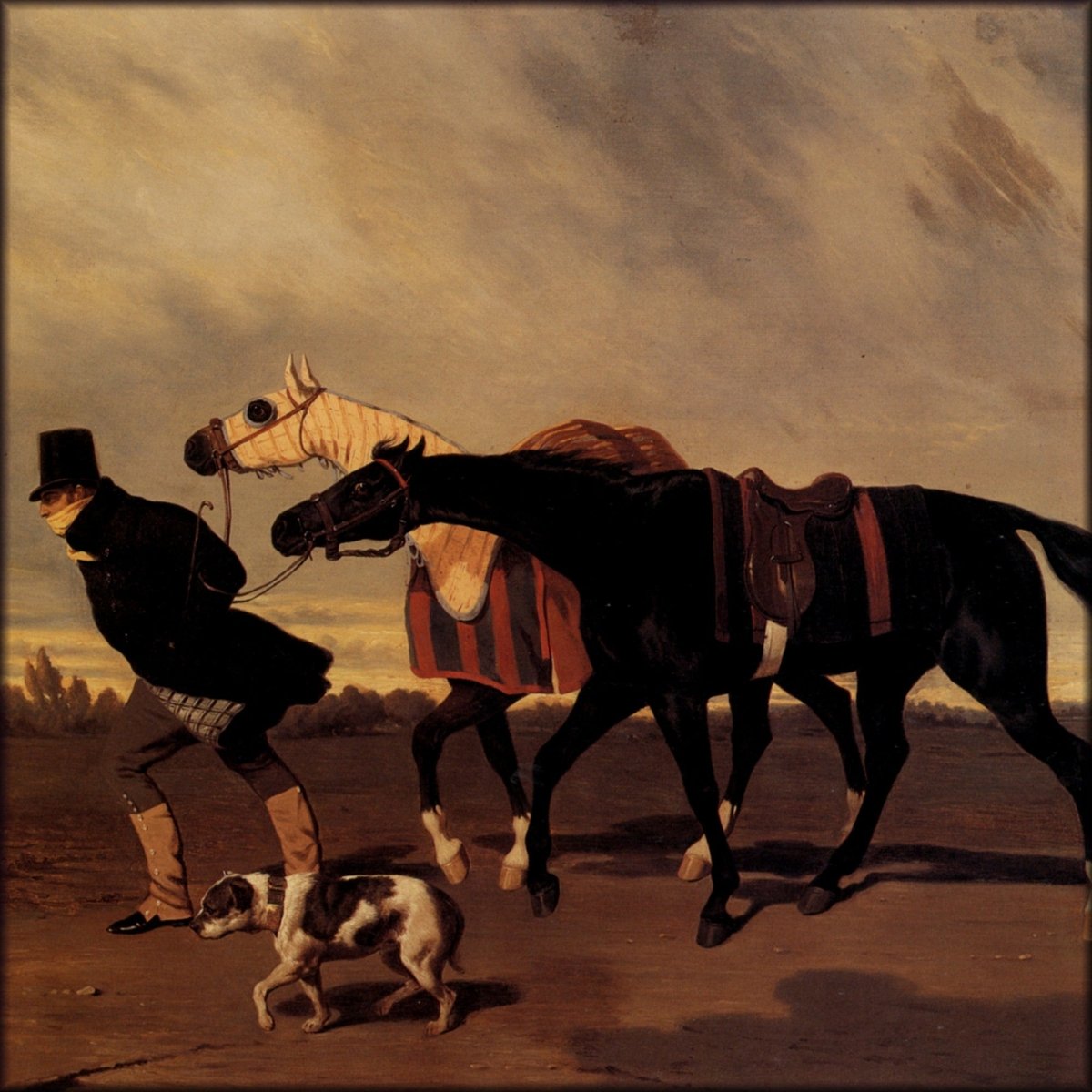 Digital Download - 1 image
