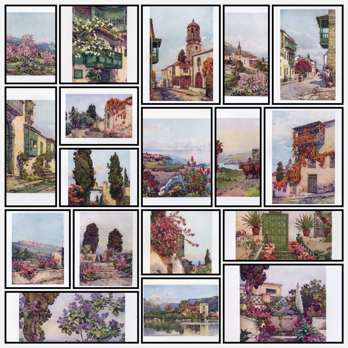 A snapshot of some of the images