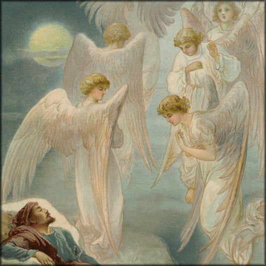 Digital Download - 1 image