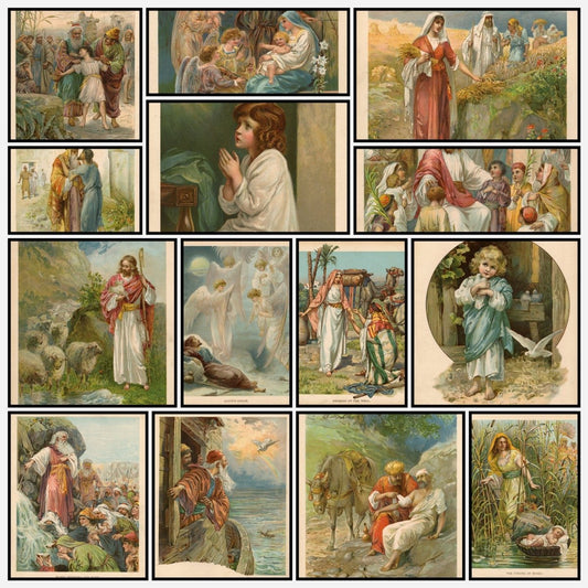 A snapshot of the images