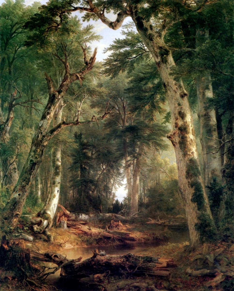 Dimensions 4644 x 5769 pixels