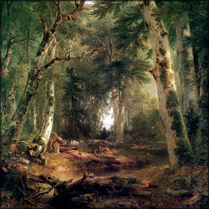 Digital Download - 1 image