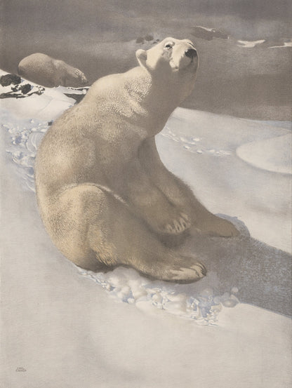 Animals in the Snow - 101 High Resolution Images | Dimensions 3318 x 4410 pixels