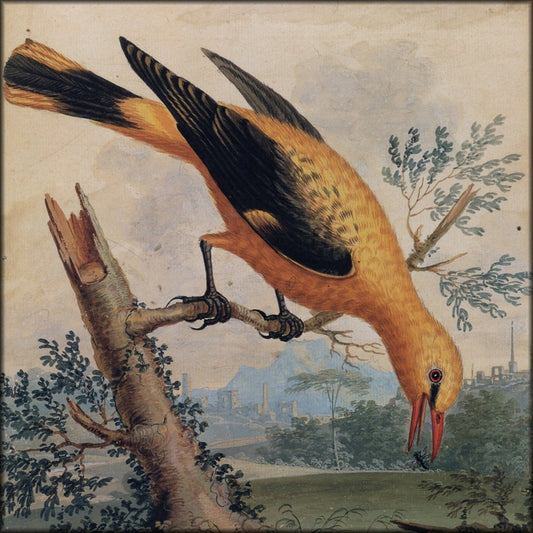 Digital Download - 1 image