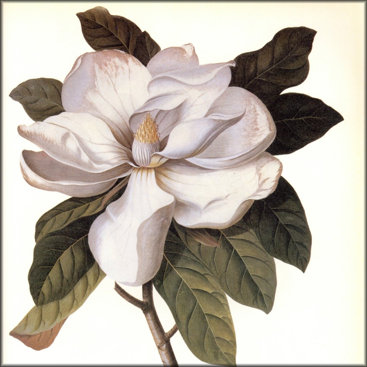 Digital Download - 1 image