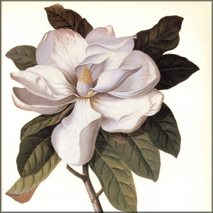 Digital Download - 1 image