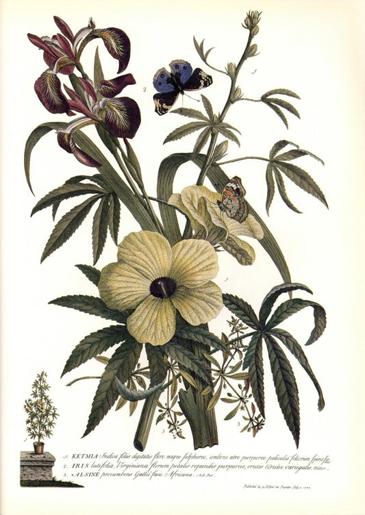 Dimensions 6336 x 8943 pixels