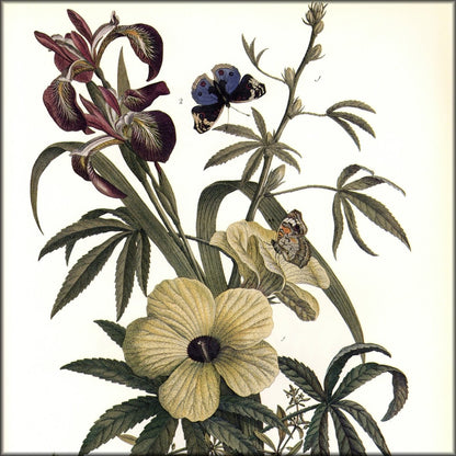 Digital Download - 1 image