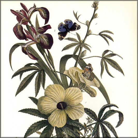 Digital Download - 1 image