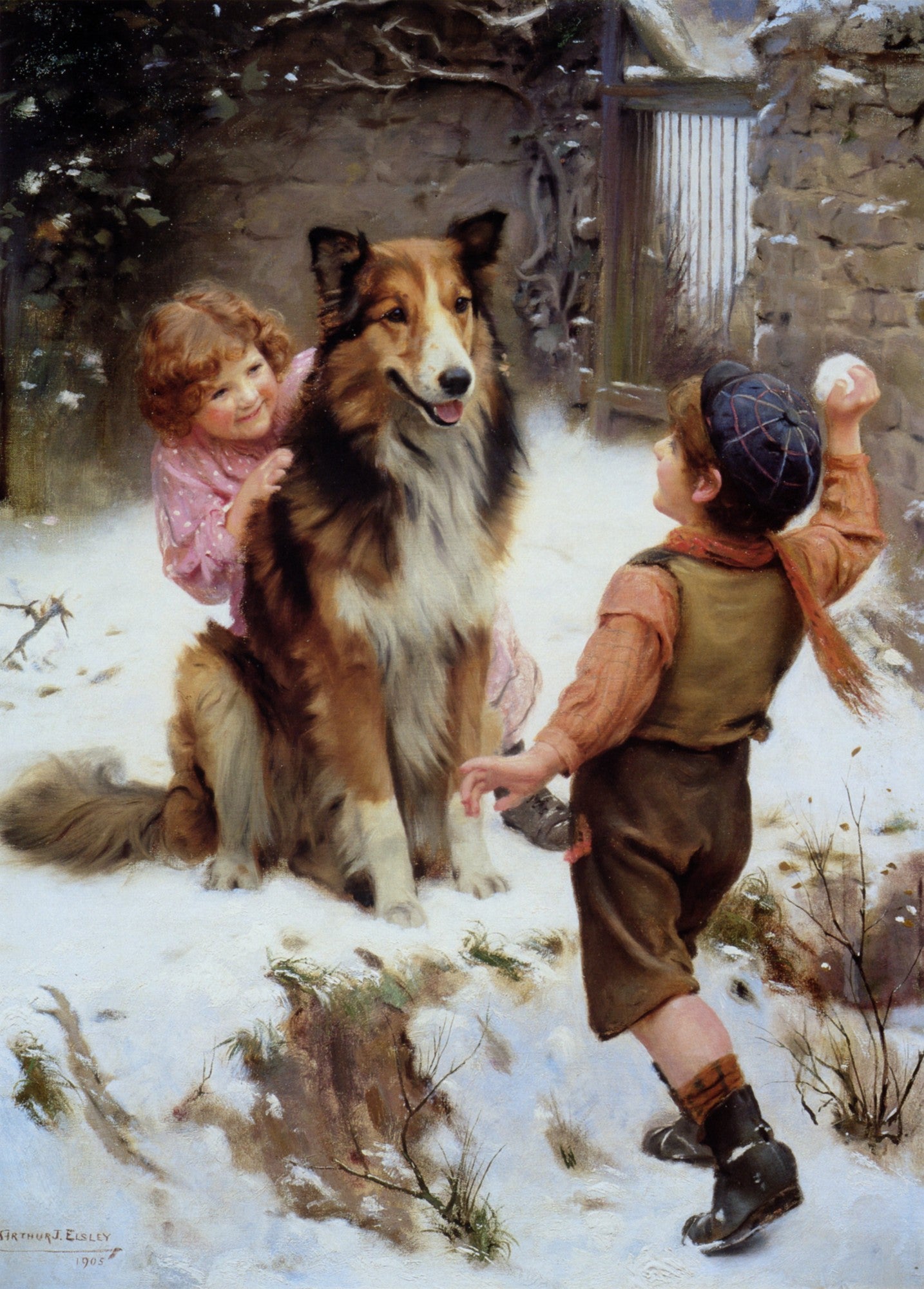 Animals in the Snow - 101 High Resolution Images | Dimensions 4314 x 6018 pixels