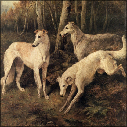 Digital Download - 1 image