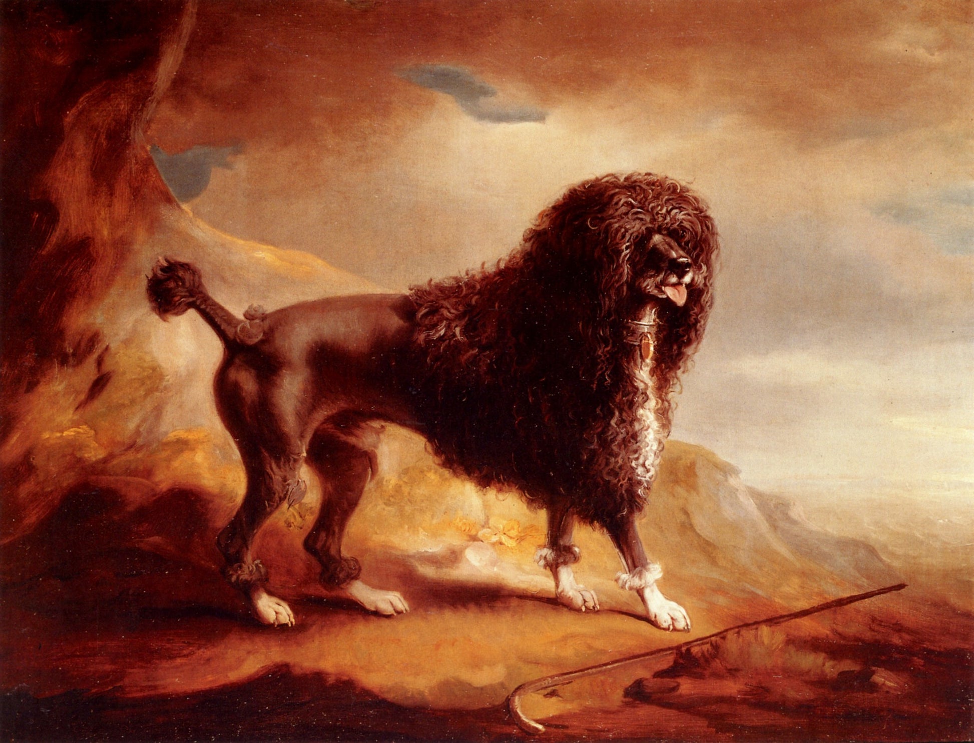 Dimensions 2104 x 3244 pixels