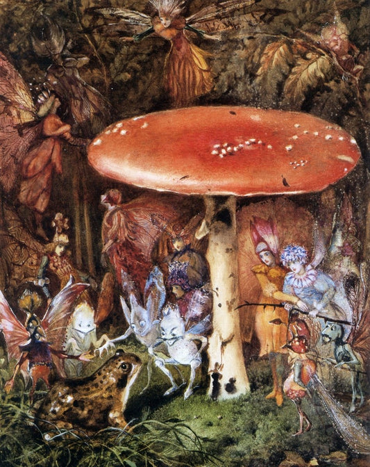 Dimensions 5093 x 6424 pixels