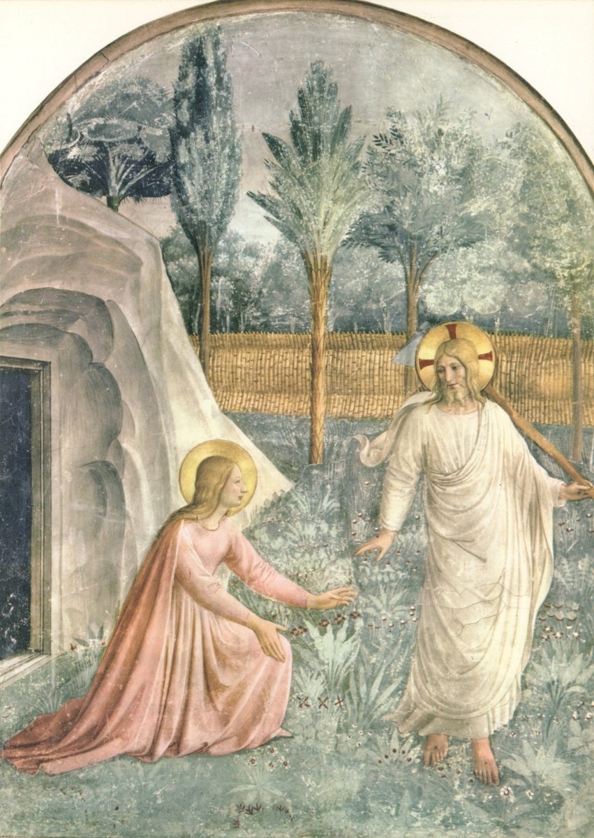 Dimensions 6160 x 8690 pixels