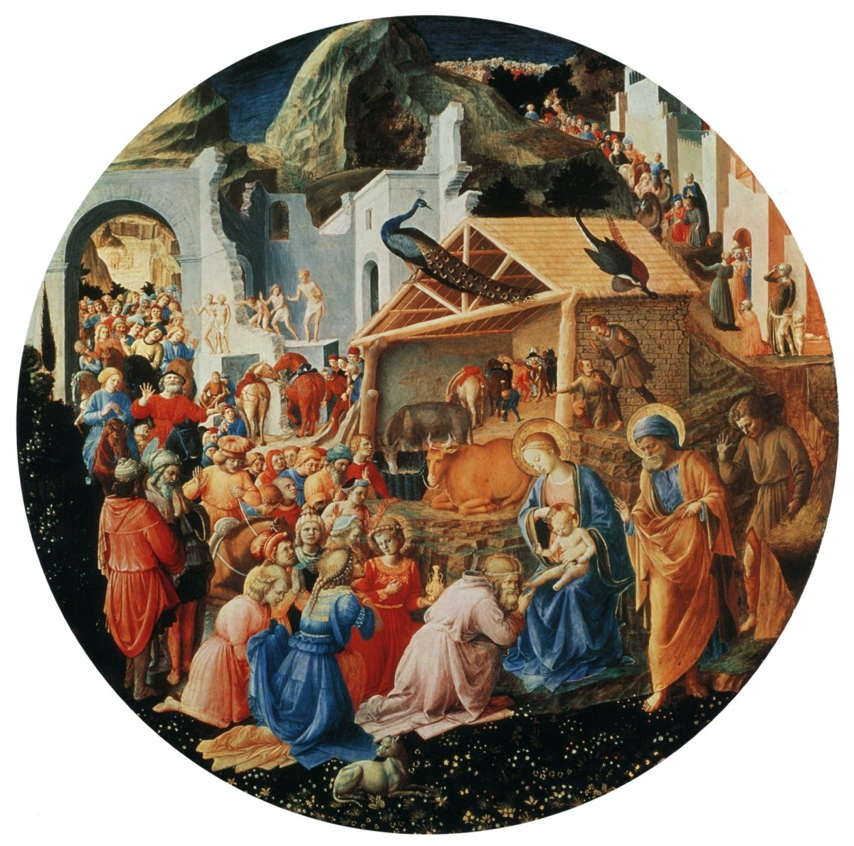 Dimensions 6240 x 6180 pixels