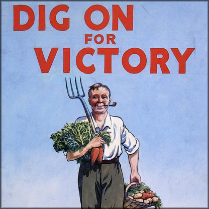 Digital Download - 1 image