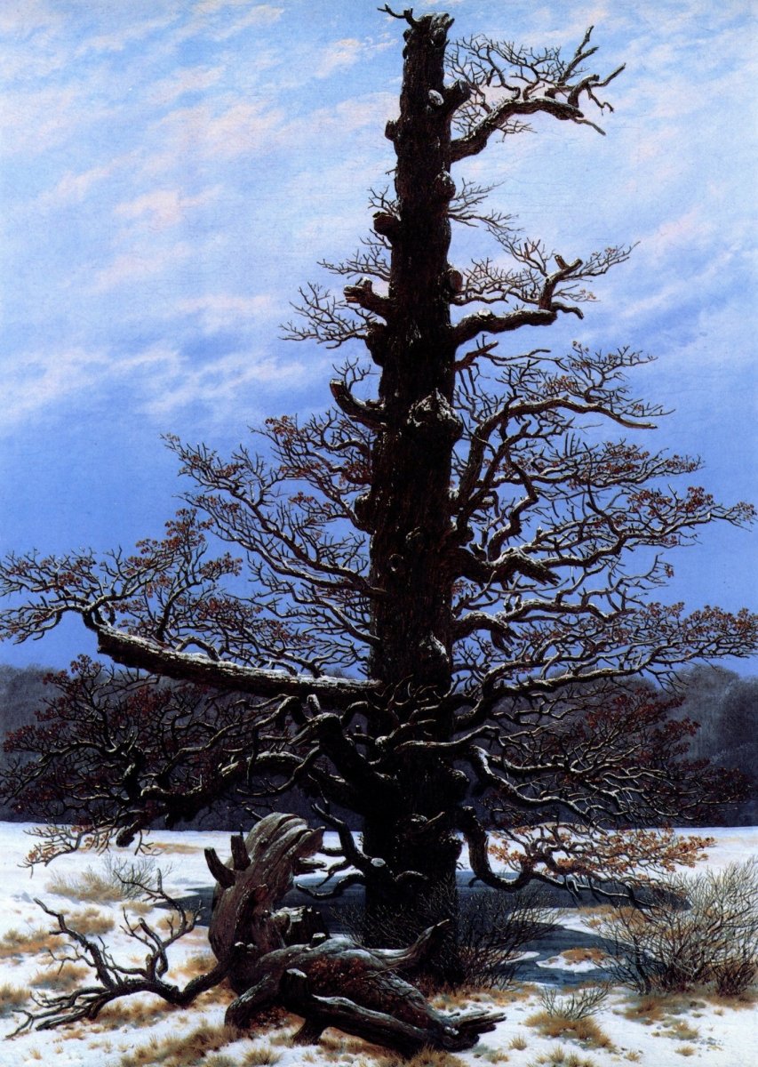 Dimensions 5004 x 7044 pixels