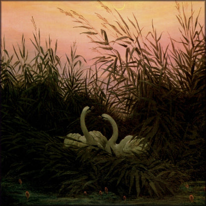 Caspar David Friedrich (1774-1840) - Swans in the Reeds c.1820