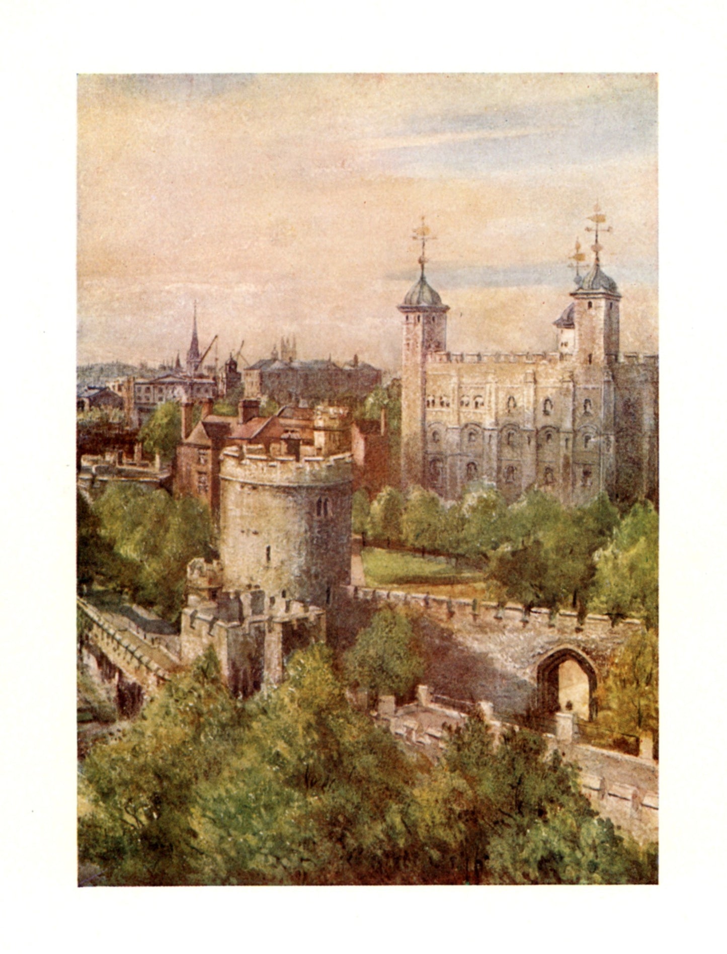 Dimensions 2968 x 3896 pixels