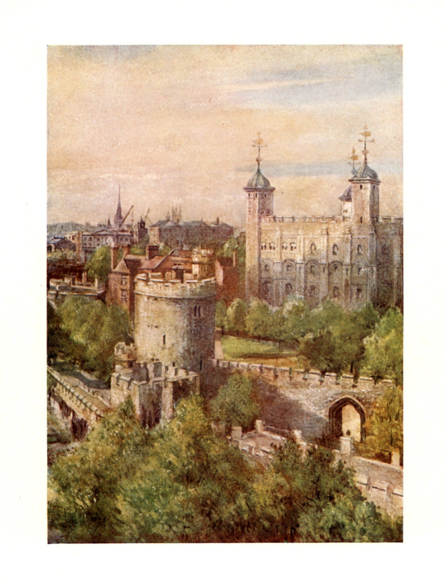 Dimensions 2968 x 3896 pixels