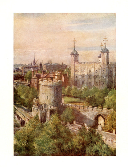 Dimensions 2968 x 3896 pixels