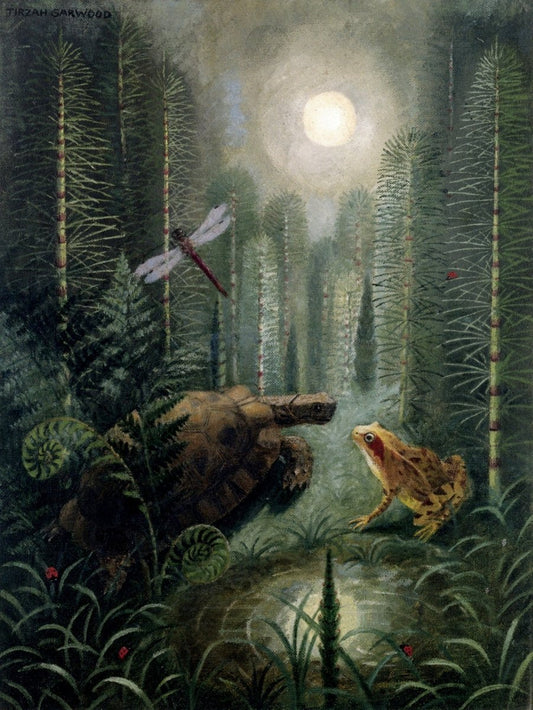 Dimensions 4200 x 5592 pixels