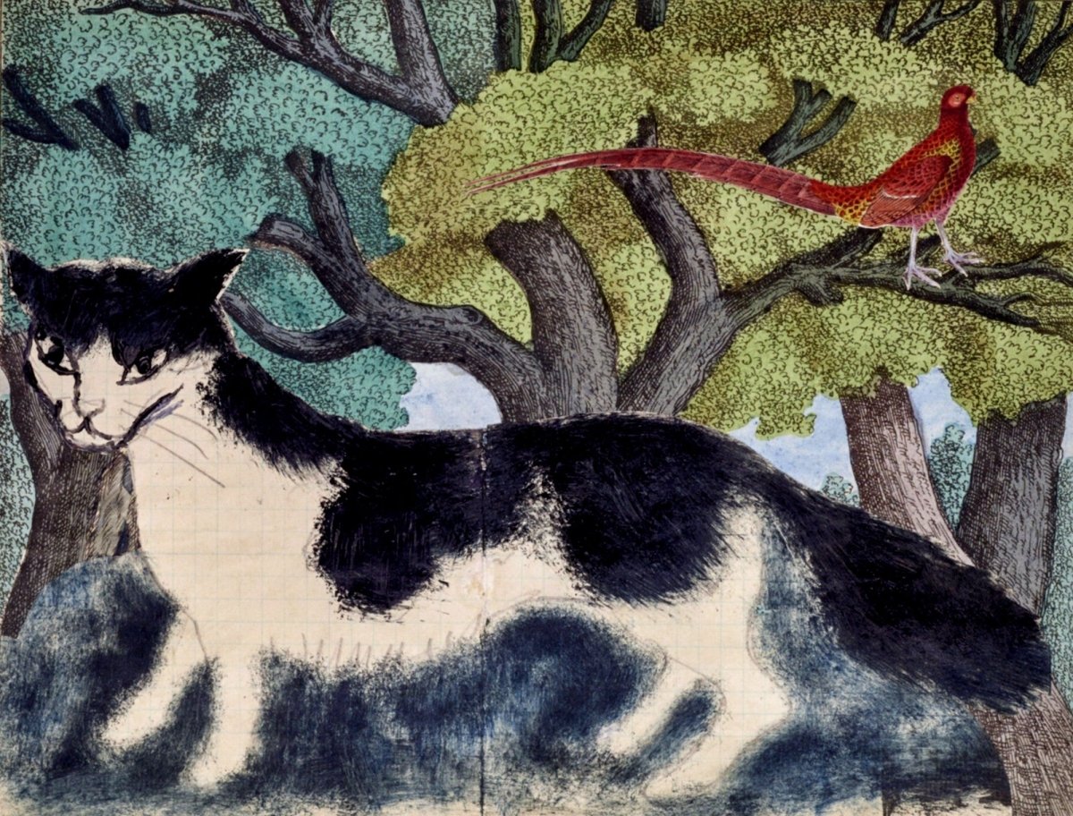 Tirzah Garwood Public Domain Images to Download | Dimensions 4446 x 3378 pixels