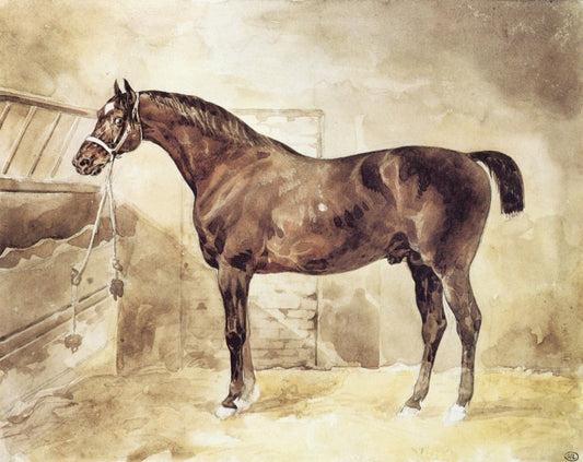 Dimensions 5663 x 4494 pixels