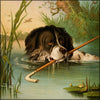 Four-footed Favourites c.1880 - Hector Giacomelli (1822-1904) - 4 images