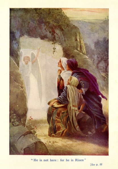 Dimensions 3776 x 5384 pixels