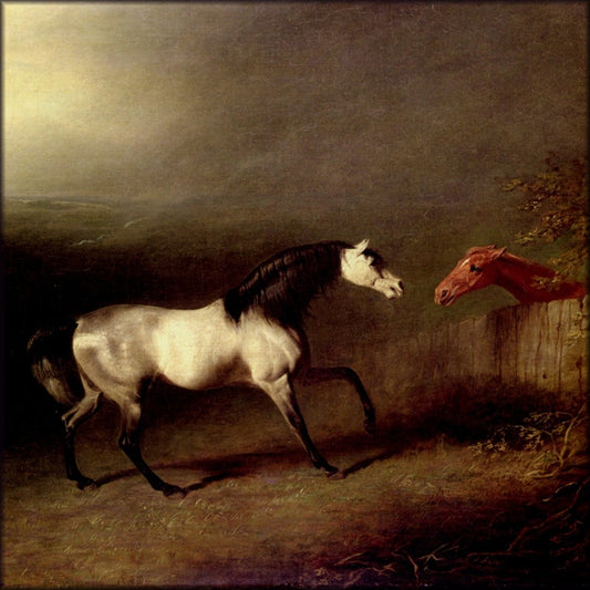 Digital Download - 1 image