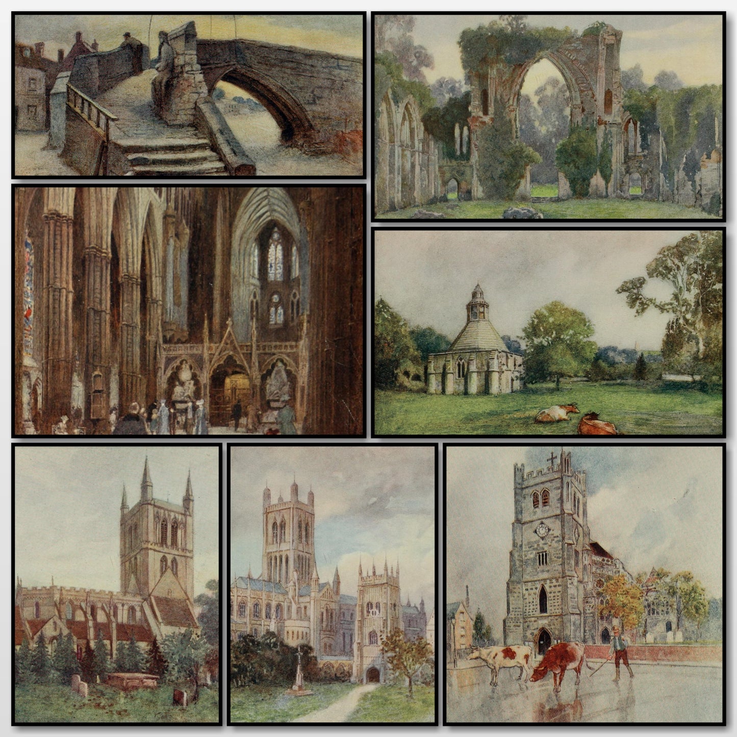 A snapshot of some of the images