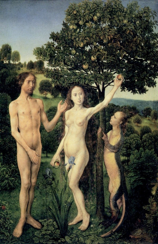 Dimensions 3344 x 5184 pixels