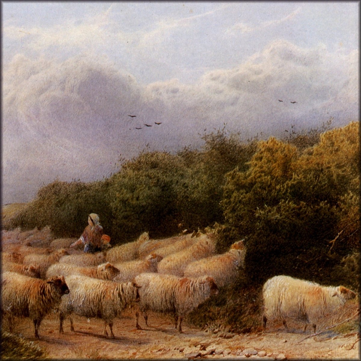 Digital Download - 1 image