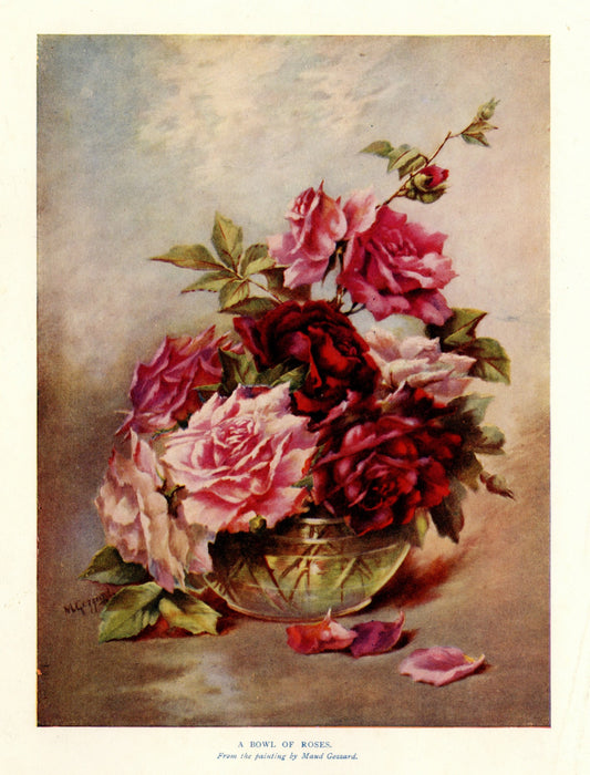 Dimensions 4024 x 5288 pixels