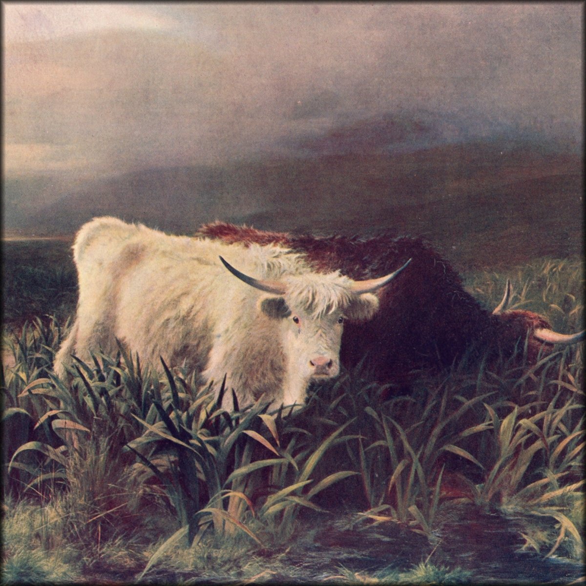 Peter Graham (1836-1921) - Moorland Rovers 1876 | Digital Download - 1 image