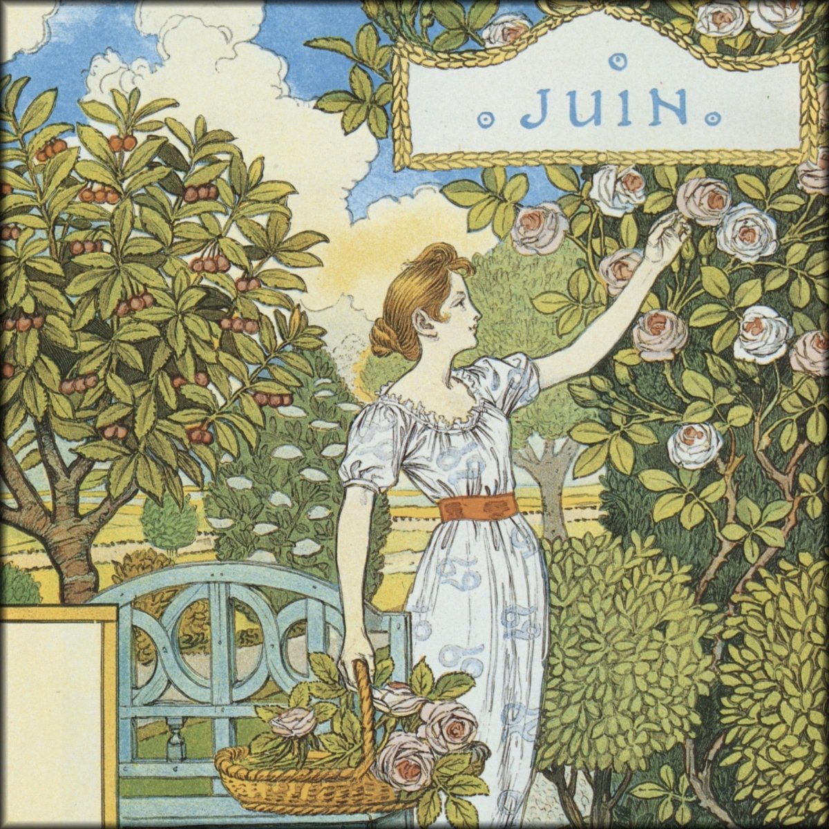 Digital Download - 1 image