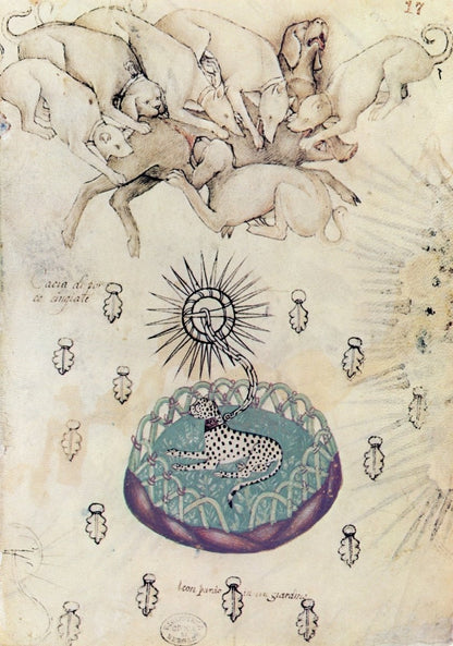 Dimensions 4939 x 7040 pixels