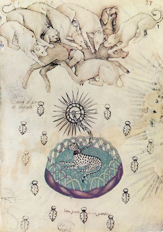 Dimensions 4939 x 7040 pixels