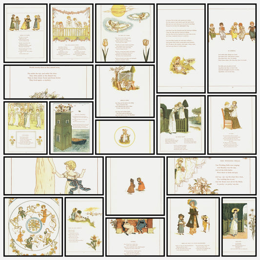A snapshot of some of the images