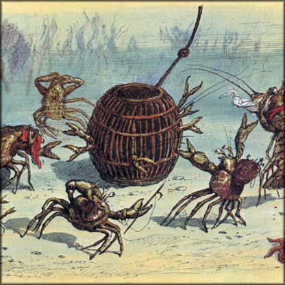 Digital Download - 1 image