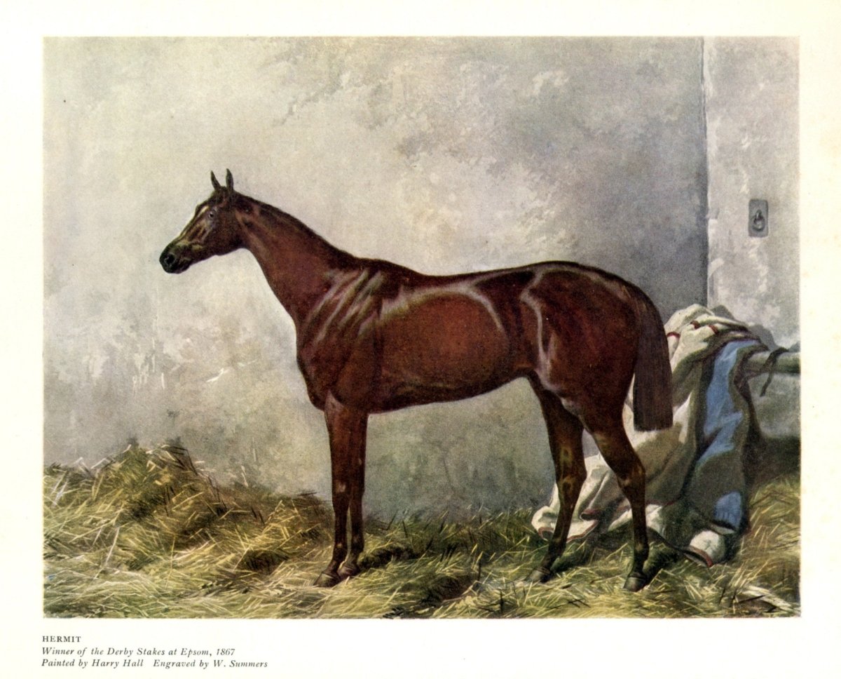 Dimensions 5632 x 4544 pixels